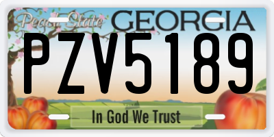 GA license plate PZV5189
