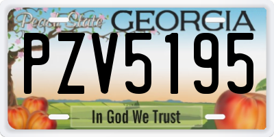 GA license plate PZV5195
