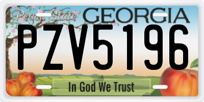 GA license plate PZV5196