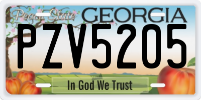 GA license plate PZV5205