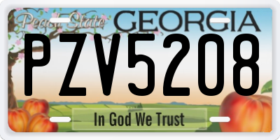 GA license plate PZV5208