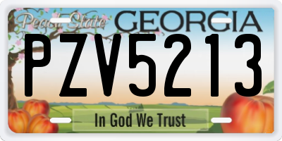 GA license plate PZV5213