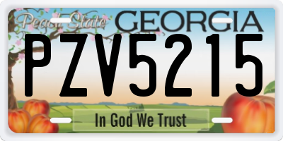 GA license plate PZV5215