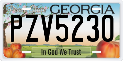 GA license plate PZV5230