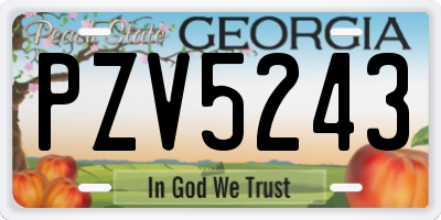 GA license plate PZV5243