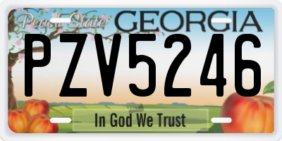 GA license plate PZV5246