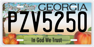 GA license plate PZV5250
