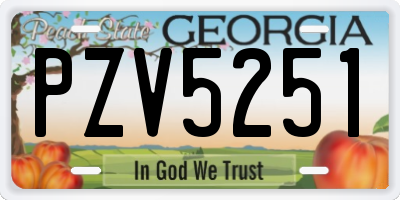 GA license plate PZV5251