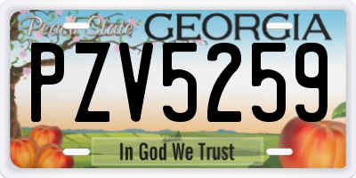 GA license plate PZV5259