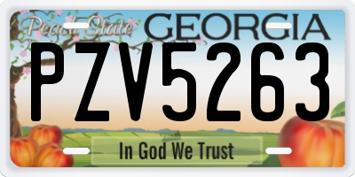 GA license plate PZV5263