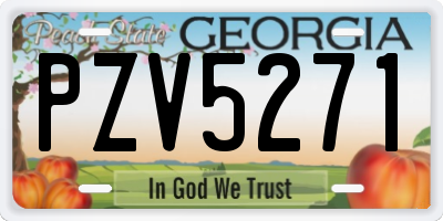 GA license plate PZV5271