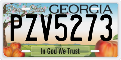 GA license plate PZV5273