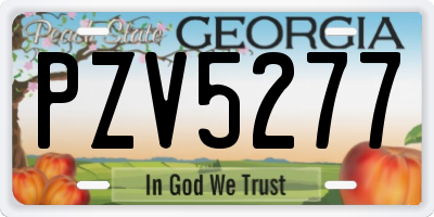 GA license plate PZV5277