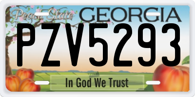 GA license plate PZV5293
