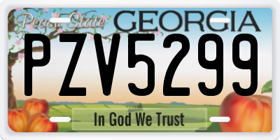 GA license plate PZV5299