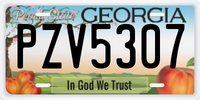 GA license plate PZV5307