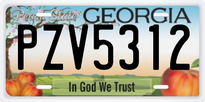 GA license plate PZV5312
