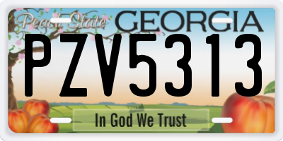 GA license plate PZV5313