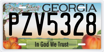 GA license plate PZV5328