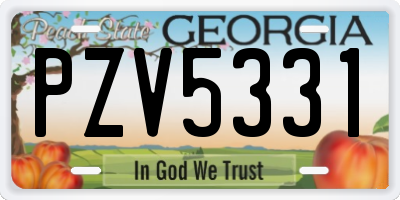 GA license plate PZV5331