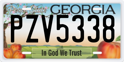 GA license plate PZV5338