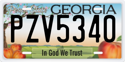 GA license plate PZV5340