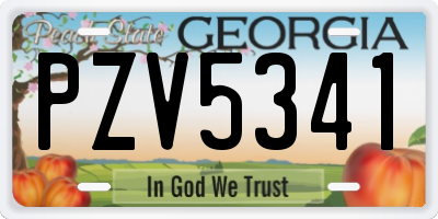 GA license plate PZV5341