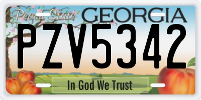 GA license plate PZV5342