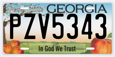 GA license plate PZV5343