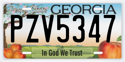 GA license plate PZV5347
