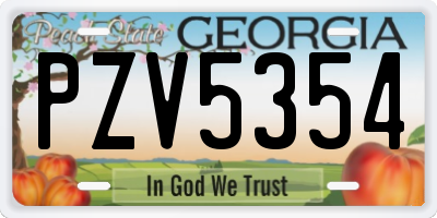 GA license plate PZV5354