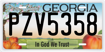 GA license plate PZV5358