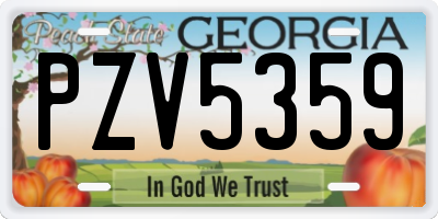 GA license plate PZV5359