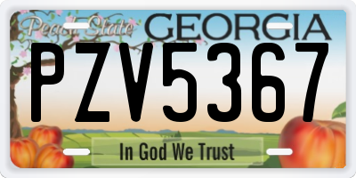 GA license plate PZV5367