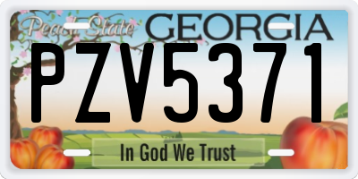 GA license plate PZV5371