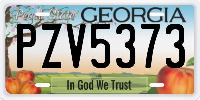 GA license plate PZV5373