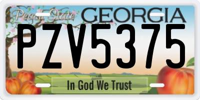 GA license plate PZV5375