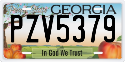 GA license plate PZV5379