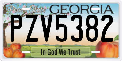 GA license plate PZV5382