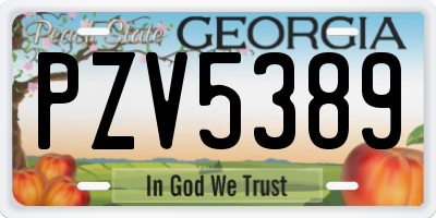 GA license plate PZV5389