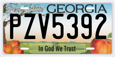 GA license plate PZV5392
