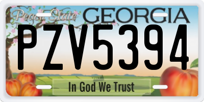 GA license plate PZV5394
