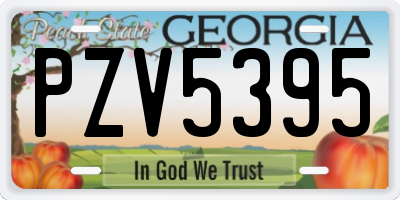 GA license plate PZV5395