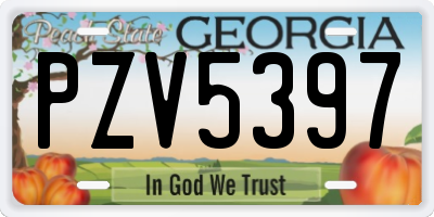 GA license plate PZV5397