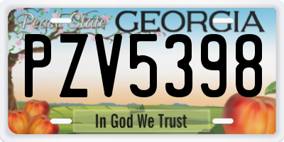 GA license plate PZV5398