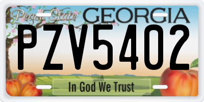 GA license plate PZV5402