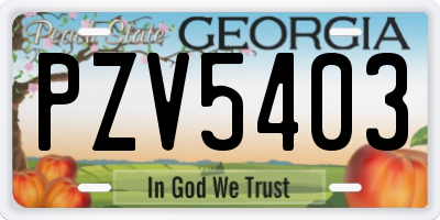GA license plate PZV5403