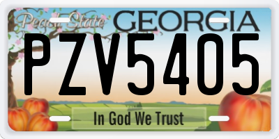 GA license plate PZV5405