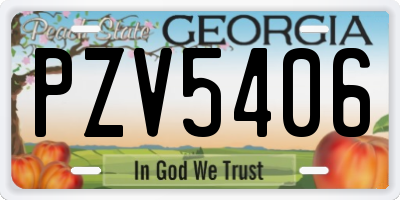 GA license plate PZV5406