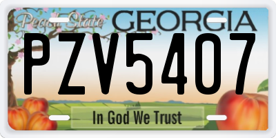 GA license plate PZV5407